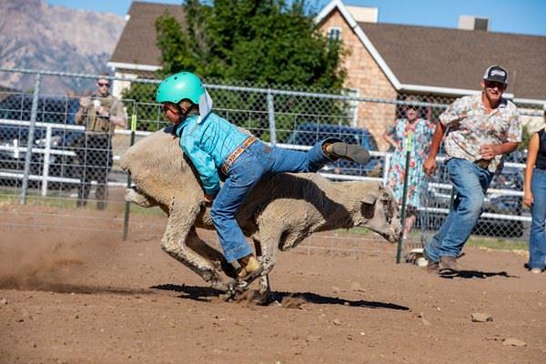 Mutton Busting PC Rodeo 2026
